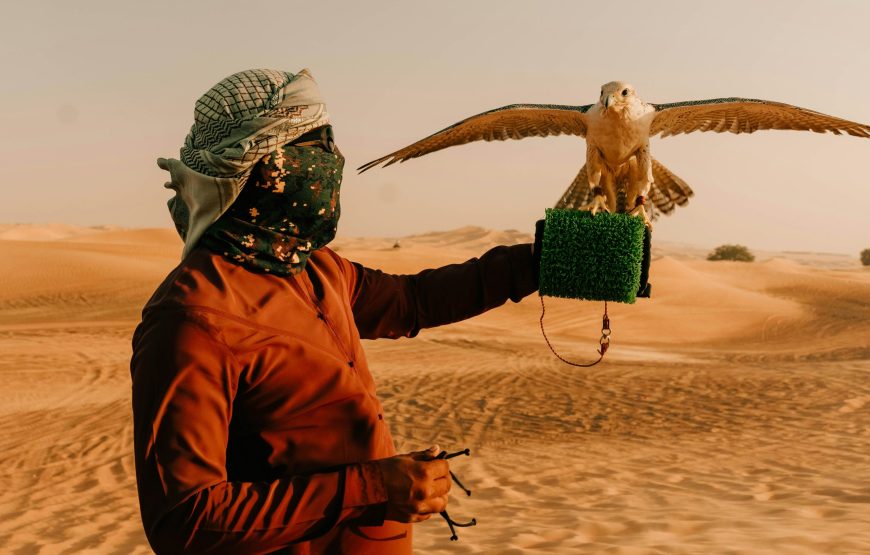 Desert Safari with Dinner and Activities