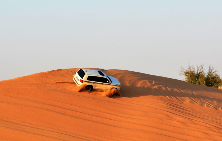 Desert Safari with Dinner and Activities