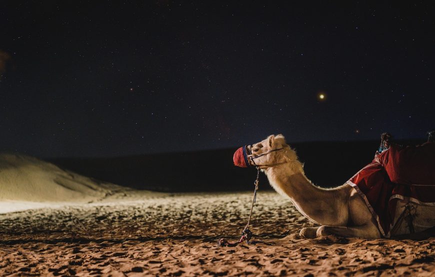 Overnight Desert Safari