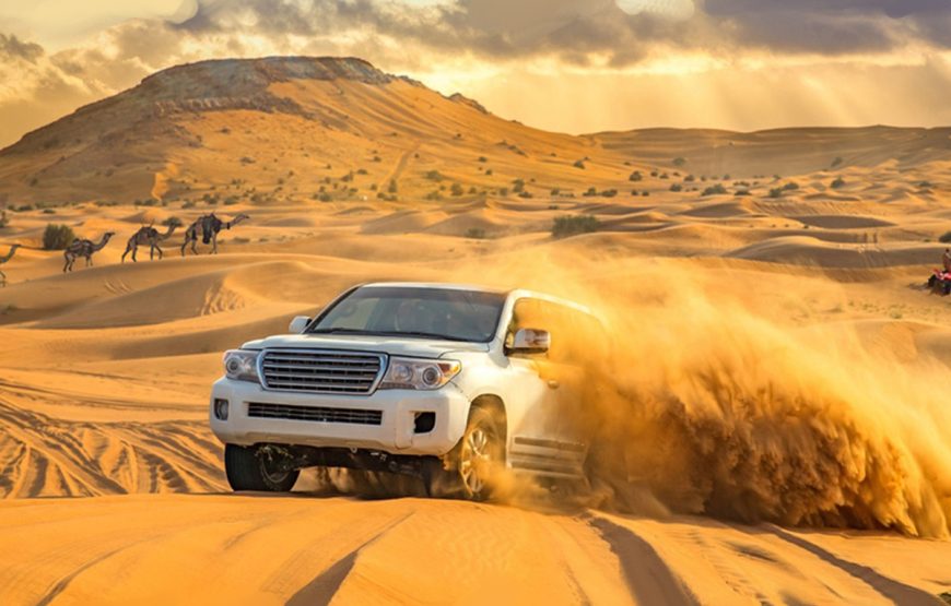 Dubai 8 Days 7 Nights Package